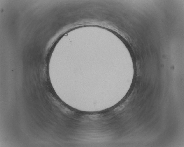 X0000071911502200607281815