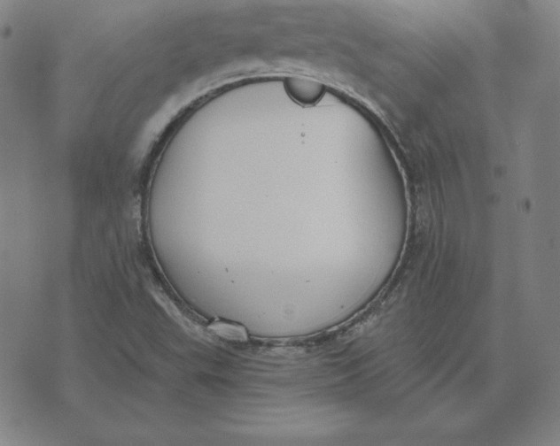 X0000071911503200607281815