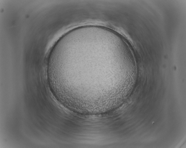 X0000071911504200607281815