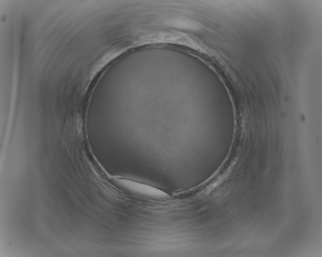 X0000071911505200607281815