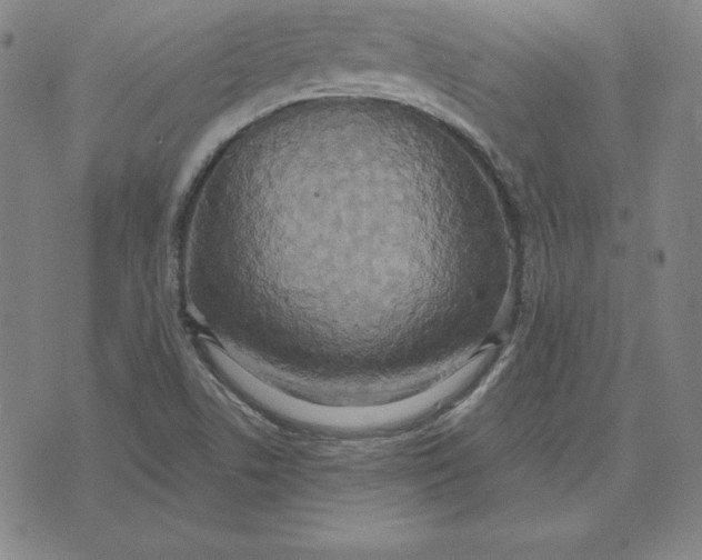 X0000071911506200607281815