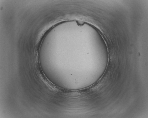 X0000071911507200607281815