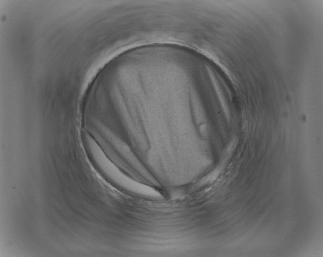 X0000071911508200607281815