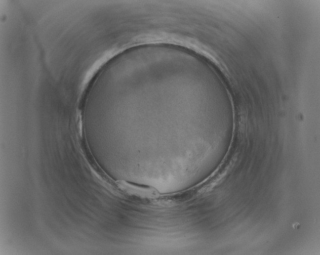 X0000071911509200607281815