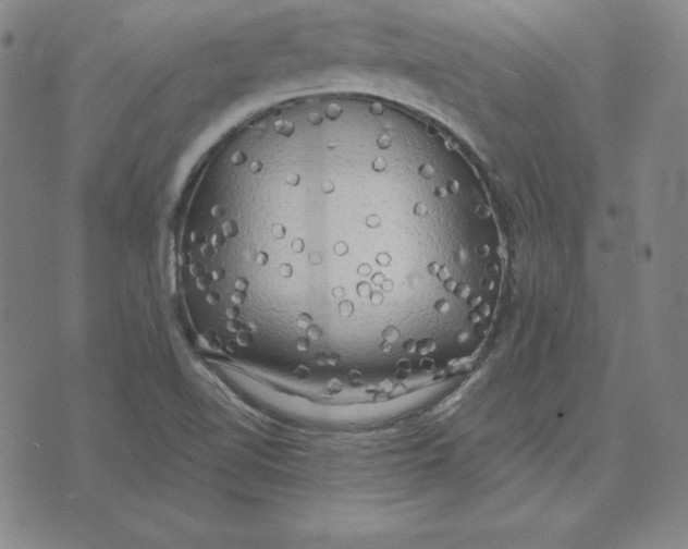 X0000071911510200607281815