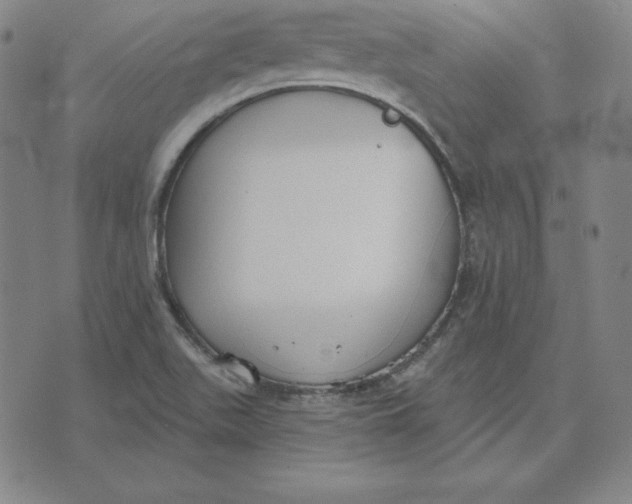 X0000071911511200607281815