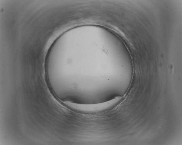 X0000071911512200607281815