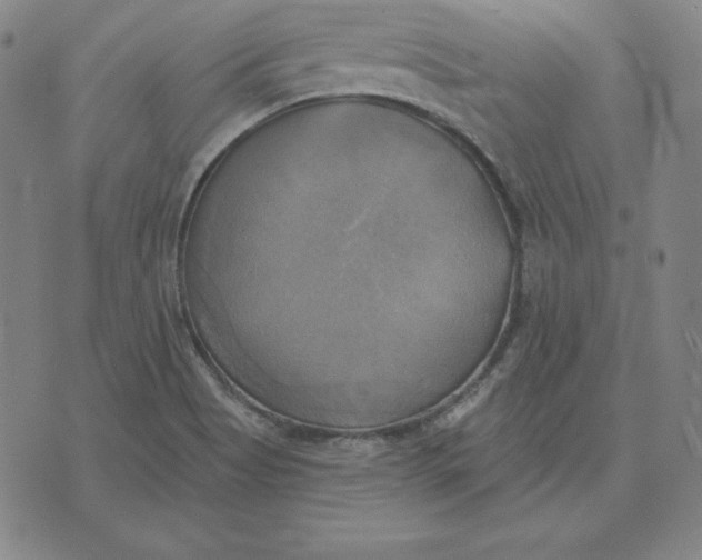 X0000071911513200607281815