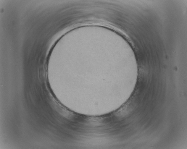 X0000071911514200607281815