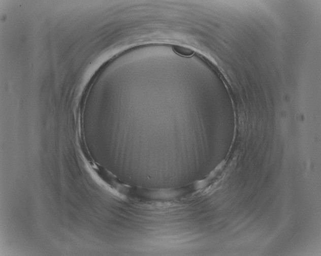 X0000071911515200607281815