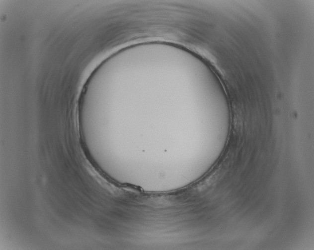 X0000071911516200607281815