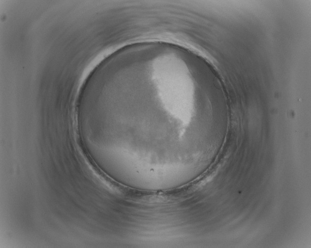 X0000071911517200607281815