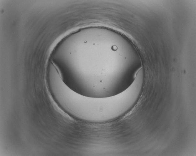 X0000071911518200607281815