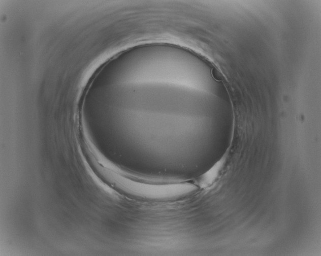 X0000071911519200607281815