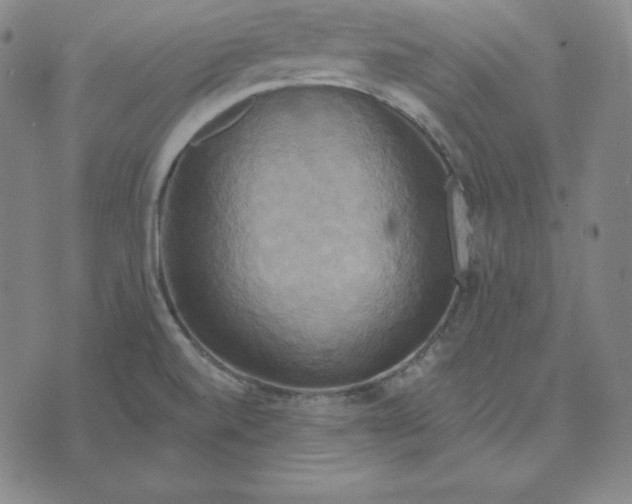 X0000071911520200607281815