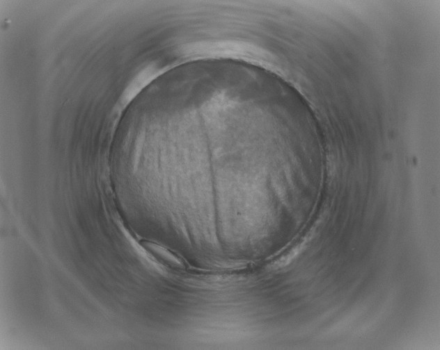 X0000071911521200607281815