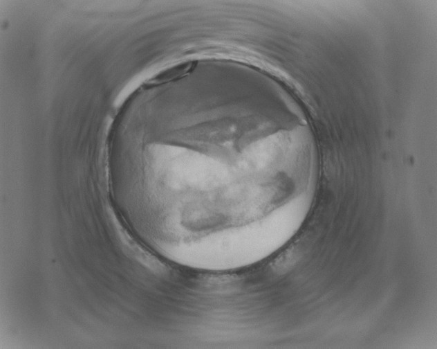 X0000071911522200607281815