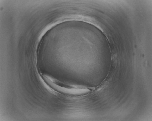 X0000071911523200607281815