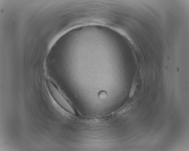 X0000071911524200607281815