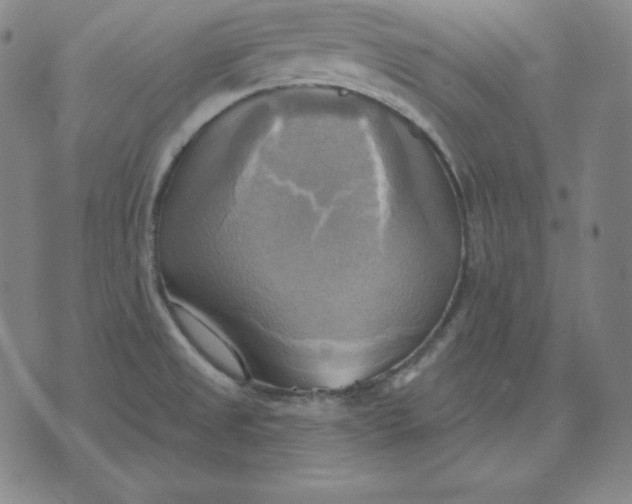 X0000071911525200607281815