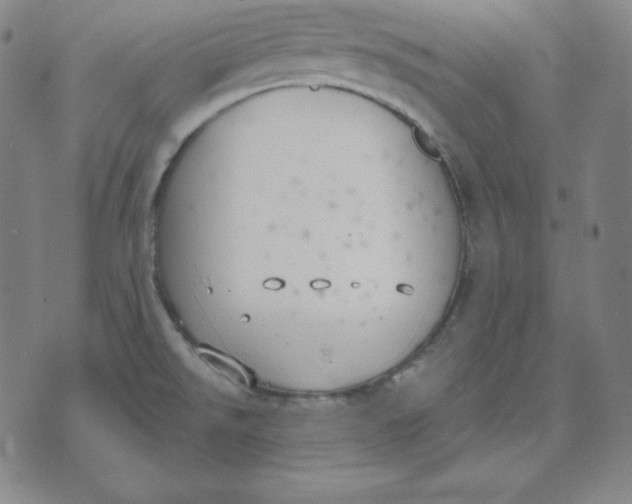 X0000071911526200607281815