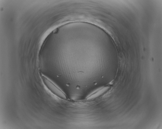 X0000071911527200607281816