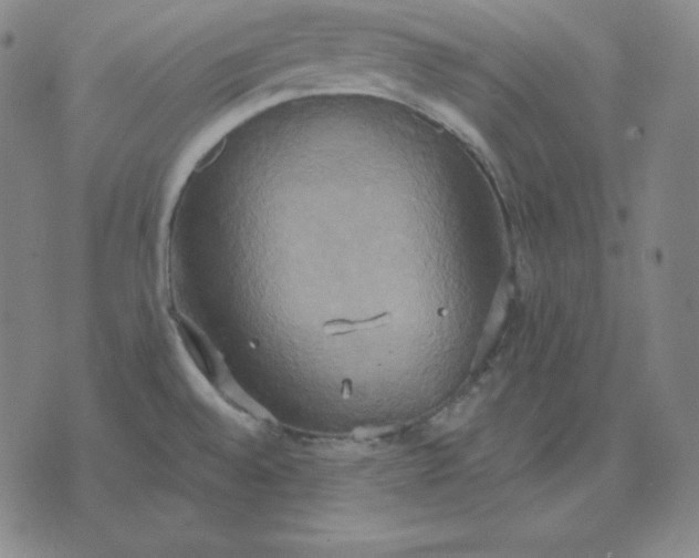 X0000071911528200607281816