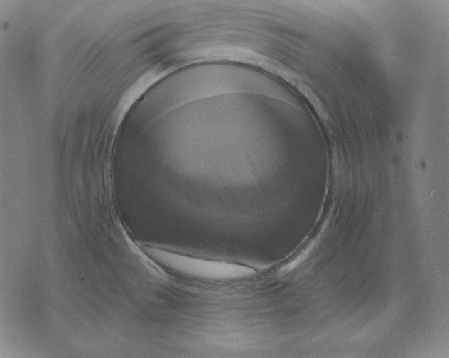 X0000071911529200607281816