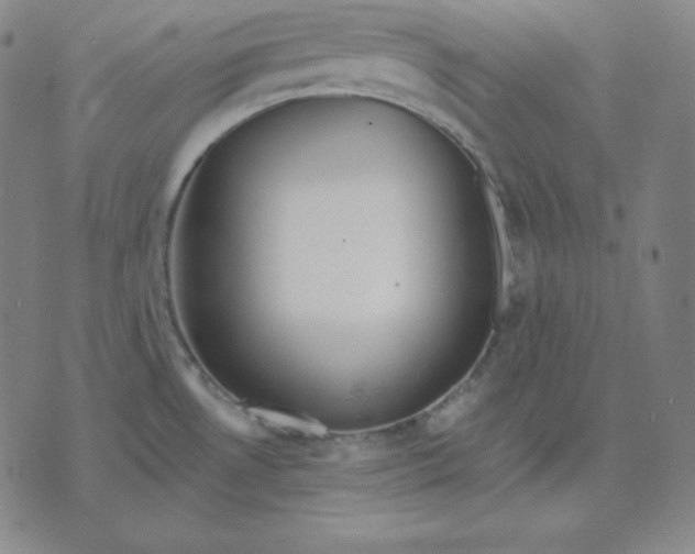 X0000071911530200607281816