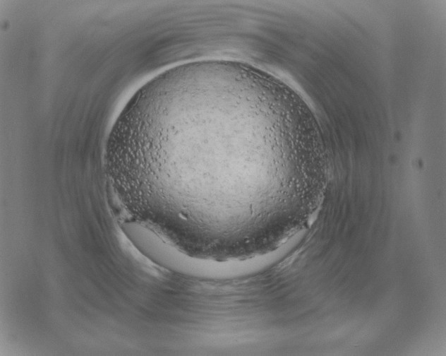 X0000071911532200607281816