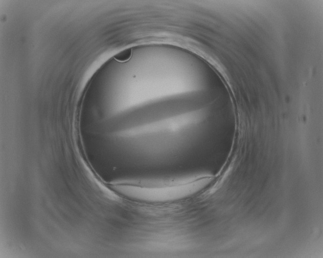 X0000071911533200607281816