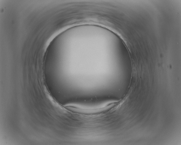 X0000071911534200607281816