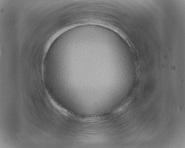 X0000071911535200607281816