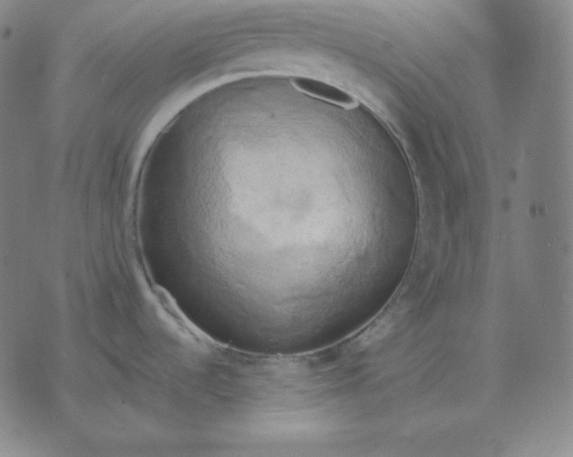 X0000071911536200607281816