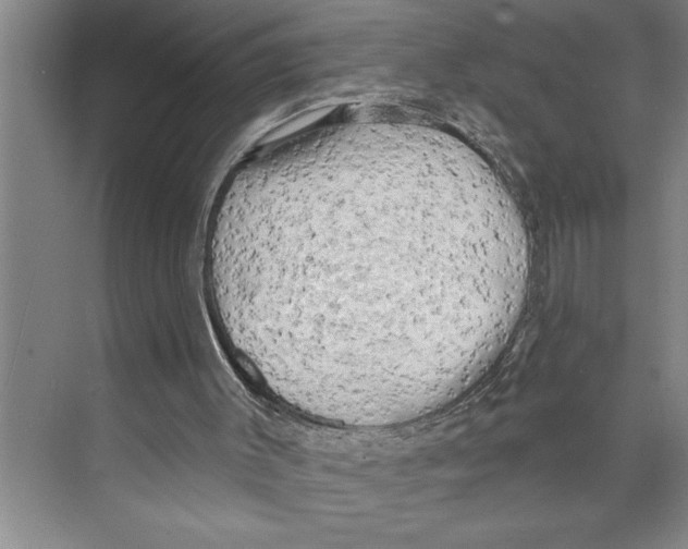 X0000071910003200608041421