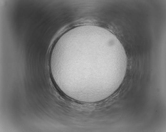 X0000071910004200608041421