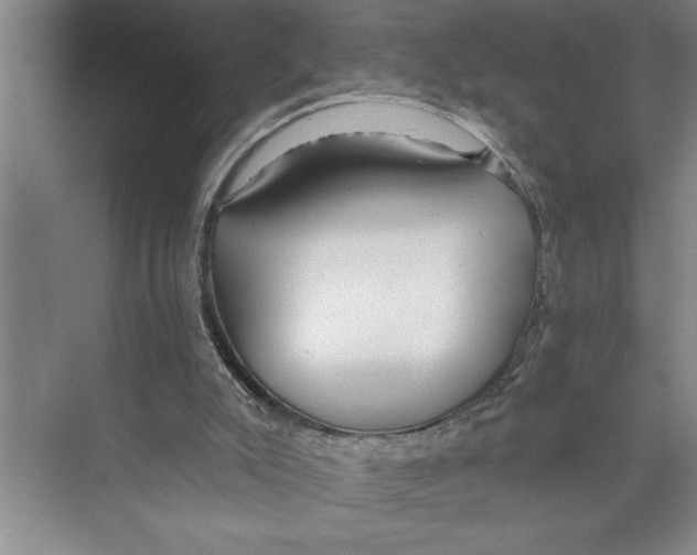 X0000071910007200608041421