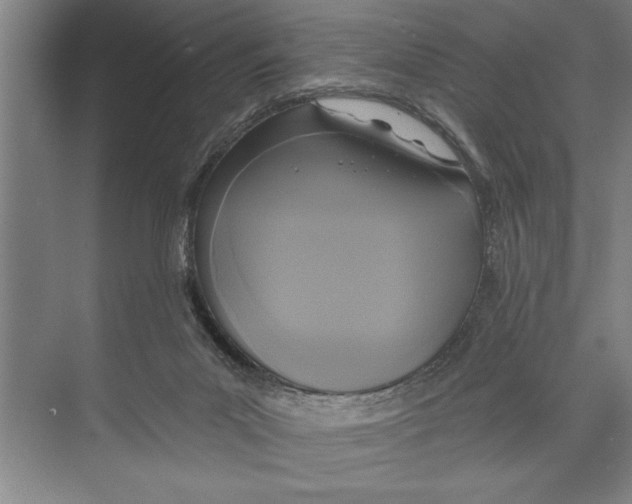 X0000071910023200608041420