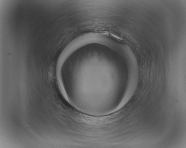 X0000071910035200608041420