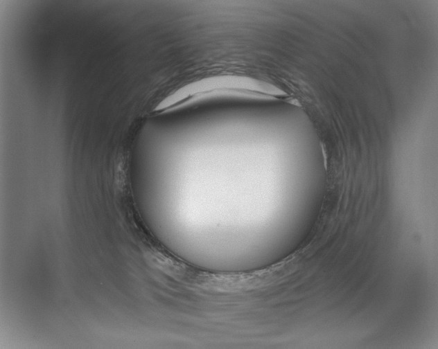 X0000071910037200608041420