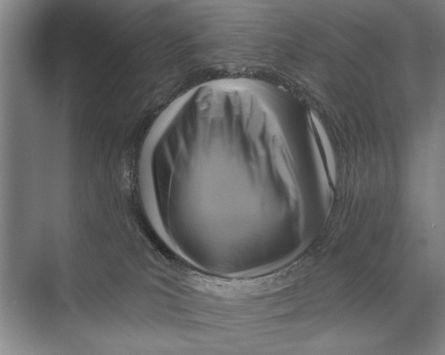 X0000071910039200608041420