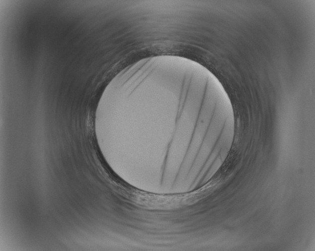 X0000071910048200608041420
