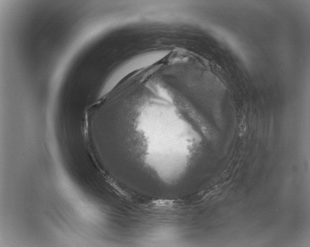 X0000071910052200608041419
