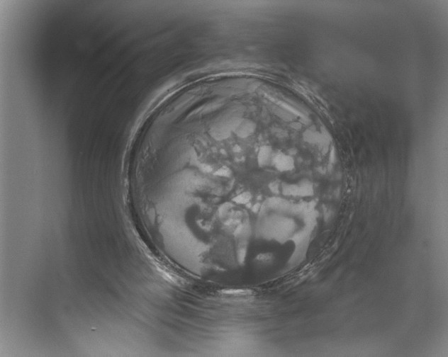 X0000071910053200608041419