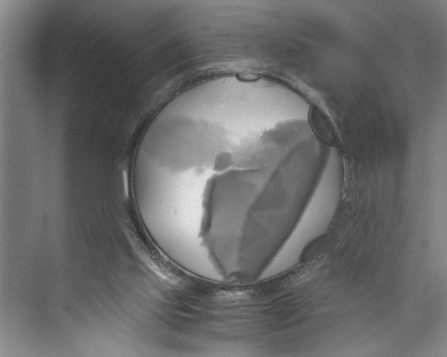X0000071910061200608041419