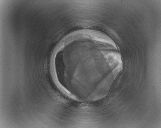 X0000071910073200608041420