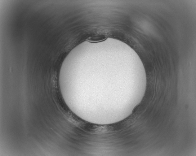 X0000071910083200608041420