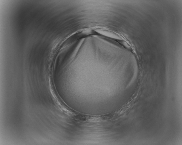 X0000071910097200608041419