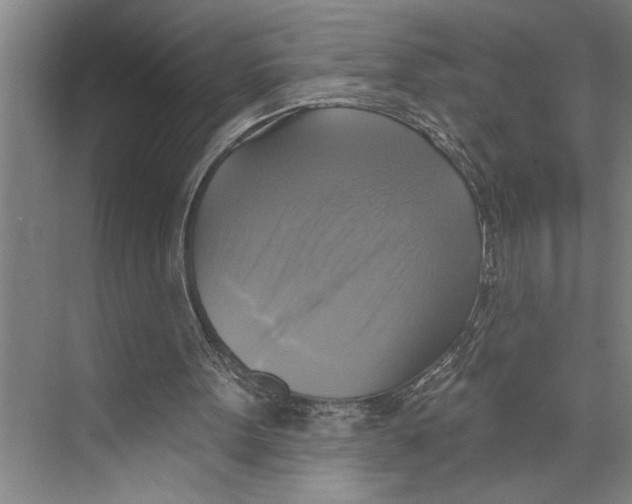 X0000071910099200608041419