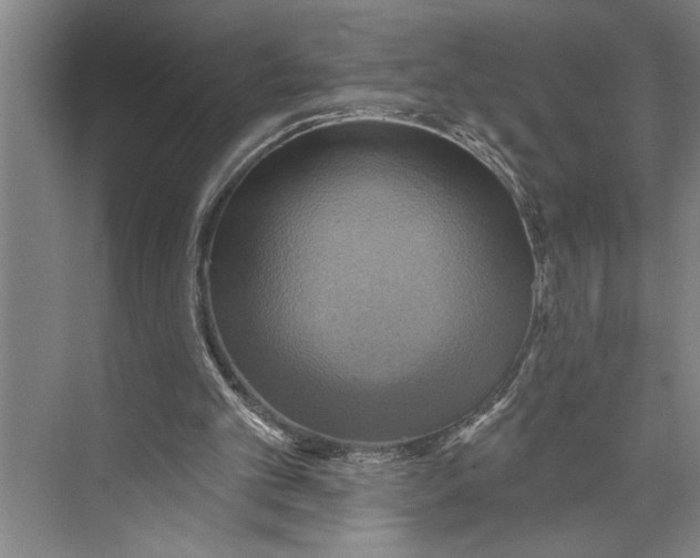 X0000071910101200608041419